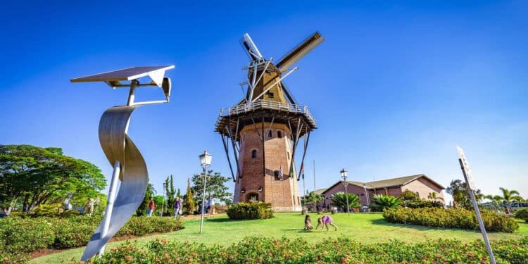 A Holanda brasileira está conquistando moradores pela qualidade de vida e campos floridos de tirar o fôlego