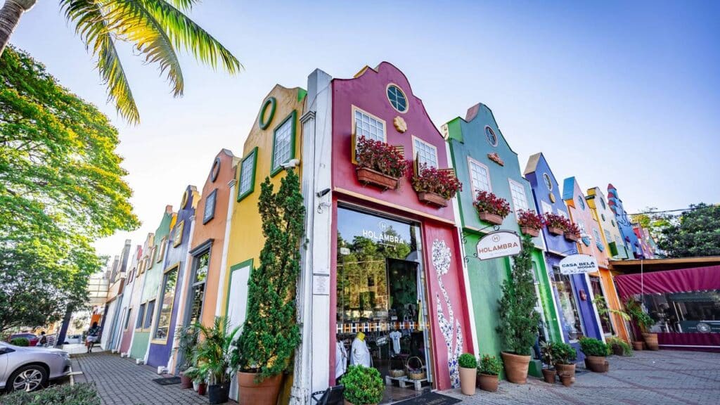 A Holanda brasileira está conquistando moradores pela qualidade de vida e campos floridos de tirar o fôlego