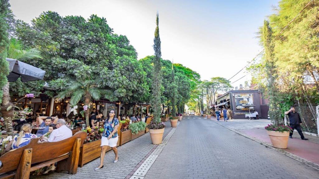 A Holanda brasileira está conquistando moradores pela qualidade de vida e campos floridos de tirar o fôlego