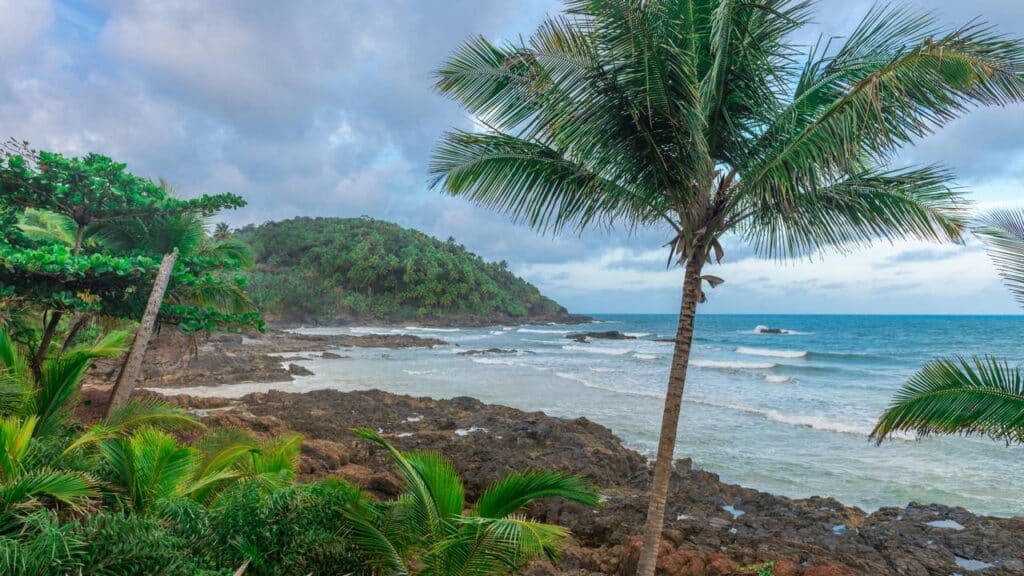 A cidade do litoral que se destaca pela Mata Atlântica preservada e águas cristalinas de tirar o fôlego