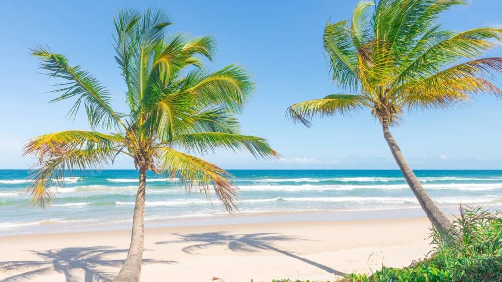 A cidade do litoral que se destaca pela Mata Atlântica preservada e águas cristalinas de tirar o fôlego