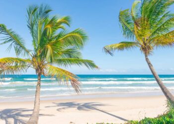 A cidade do litoral que se destaca pela Mata Atlântica preservada e águas cristalinas de tirar o fôlego