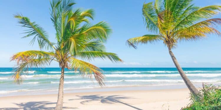 A cidade do litoral que se destaca pela Mata Atlântica preservada e águas cristalinas de tirar o fôlego