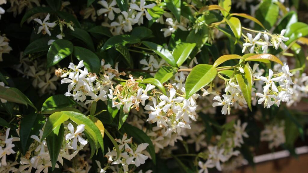 Créditos: depositphotos.com / michael14mei2@live.nl