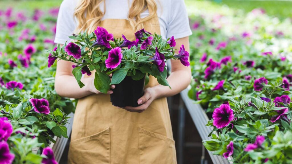 Vista aproximada de um vaso com flores nas mãos de uma mulher.