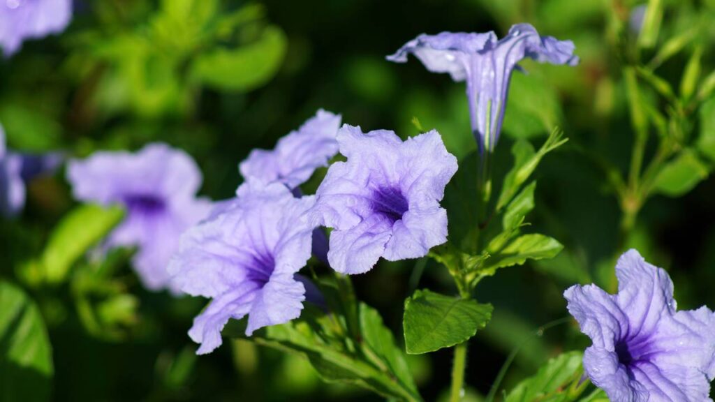 Créditos: depositphotos.com / Noppharat_th