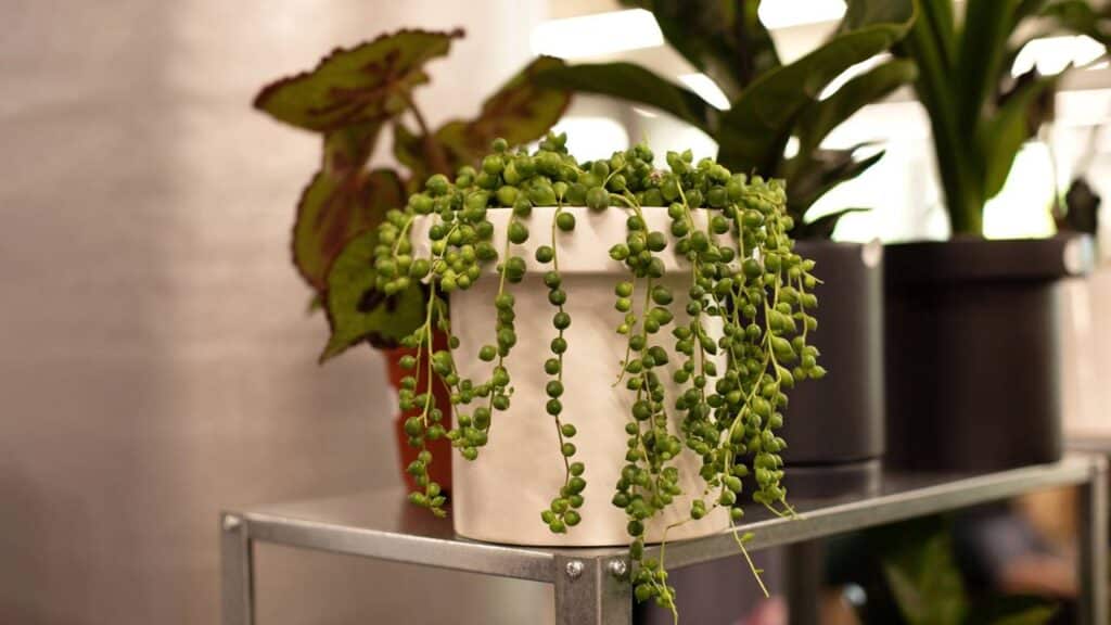 Créditos: depositphotos.com / photo_story