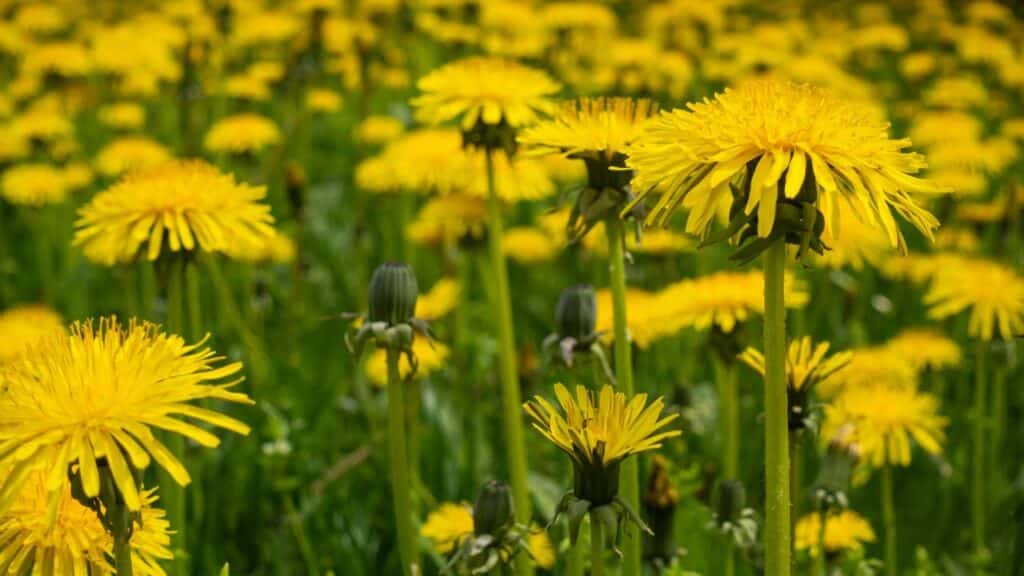 Créditos: depositphotos.com / fotoforce