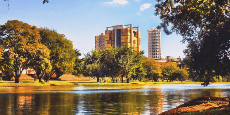 Essa cidade brasileira cresceu com o agronegócio e hoje é considerada uma cidade modelo no interior de São Paulo