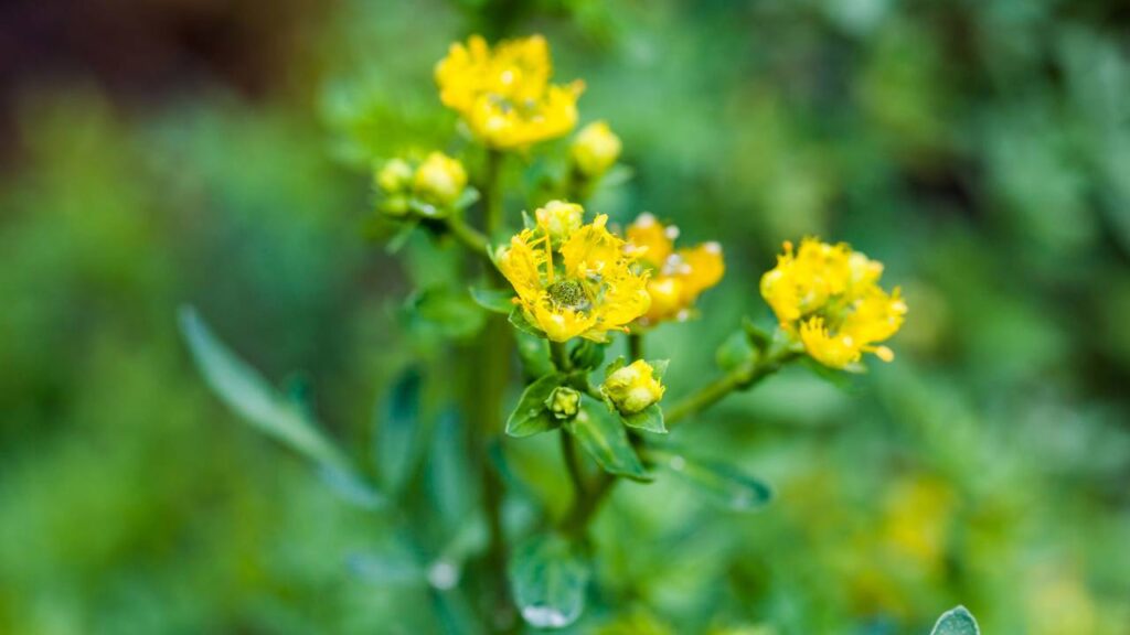 Créditos: depositphotos.com / anamejia18