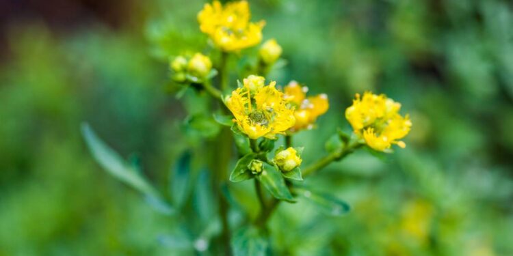 Créditos: depositphotos.com / anamejia18