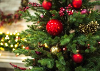 Créditos: depositphotos.com / SergKovbasyuk