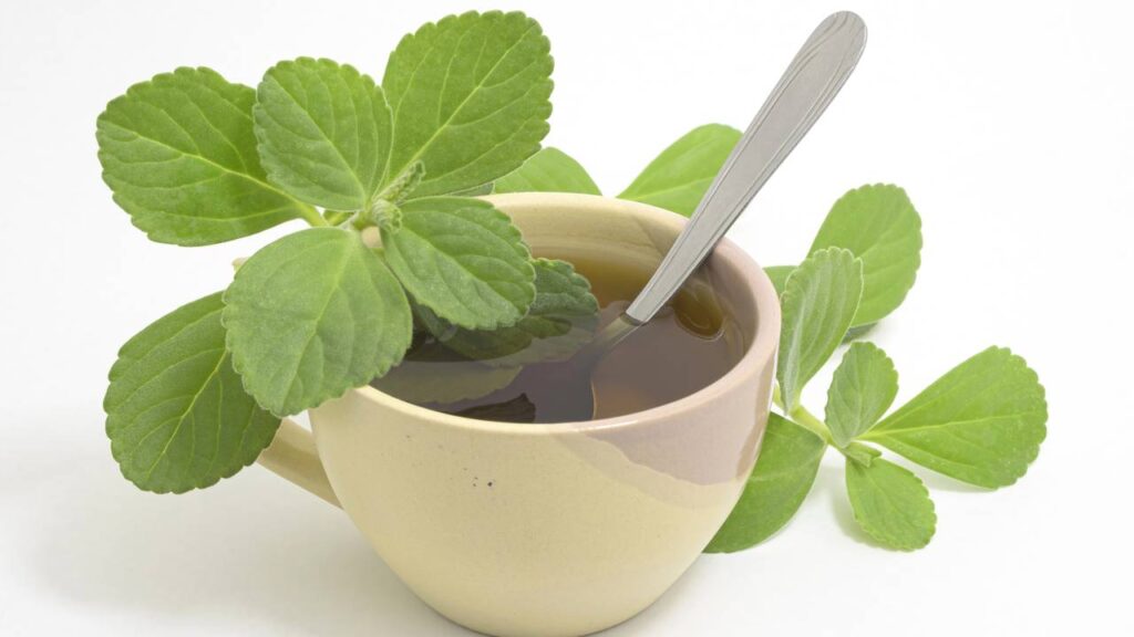 Créditos: depositphotos.com / vbacarin