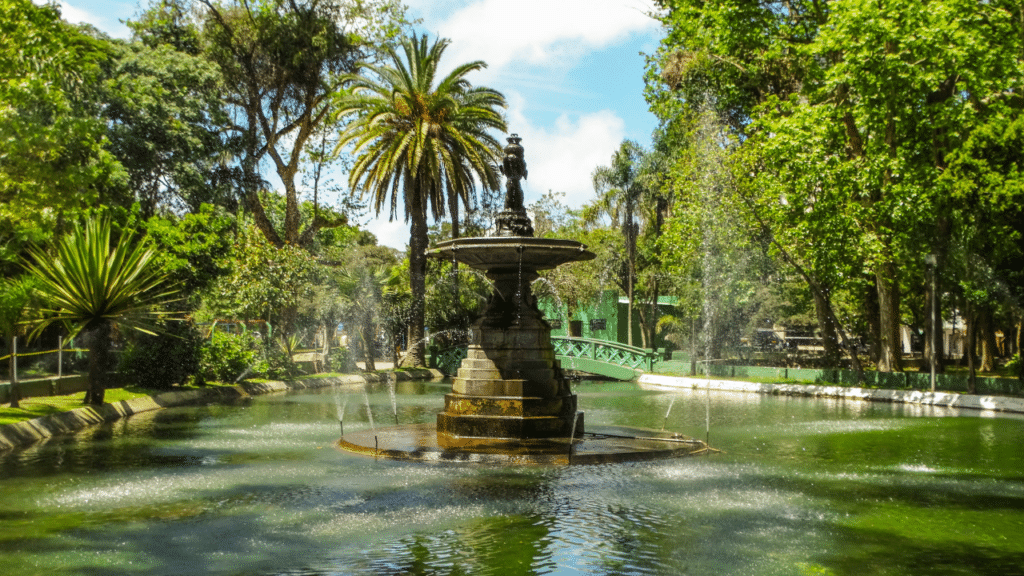 A cidade próspera em qualidade de vida que abriga uma das maiores praias do mundo