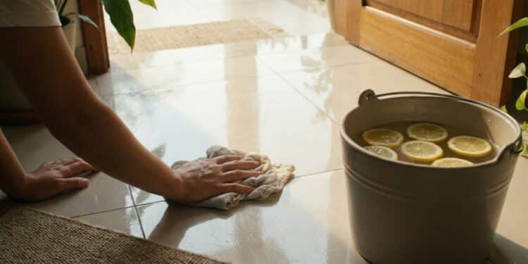 Vinagre branco resolve o que mais incomoda na entrada de casa