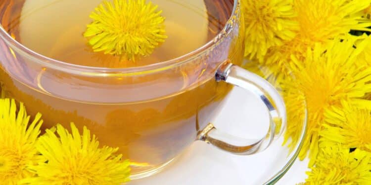 Créditos: depositphotos.com / Kassandra2