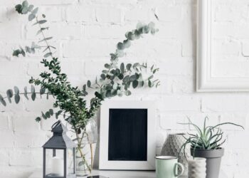 O lugar ideal do eucalipto em casa para fortalecer a saúde e a proteção