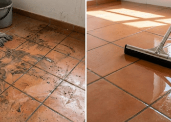 Misturas simples e eficazes para deixar o chão da casa limpo brilhante e perfumado