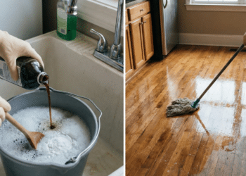 Truque das diaristas deixa o piso brilhando sem usar ceras químicas