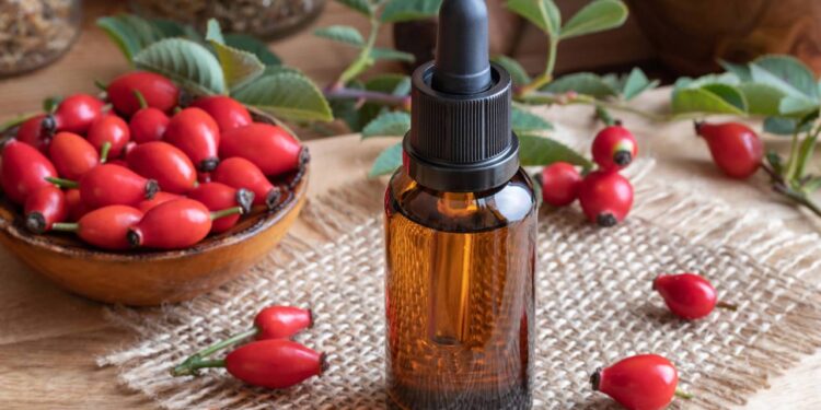 Créditos: depositphotos.com / MadeleineSteinbach