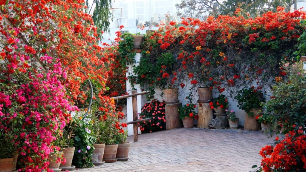 Créditos: depositphotos.com / oberhexe72