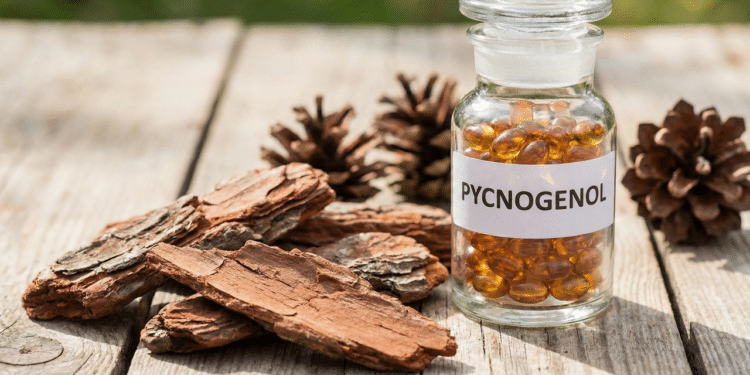 Essa é a árvore da beleza, o segredo natural que ajuda a rejuvenescer a pele de forma rápida e saudável