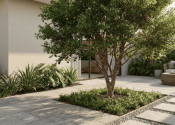 Árvore ideal para quintal dá sombra, não quebra o piso e ainda oferece frutos saborosos