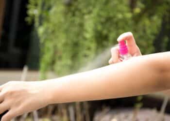 Cinco tipos de repelentes que protegem dos mosquitos enquanto cuidam da pele