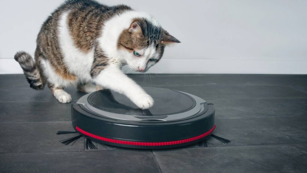 Esse robô circula sozinho e remove poeira, pelos e migalhas do chão mesmo quando ninguém está em casa