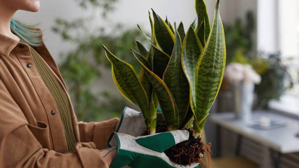 Créditos: depositphotos.com / SeventyFour