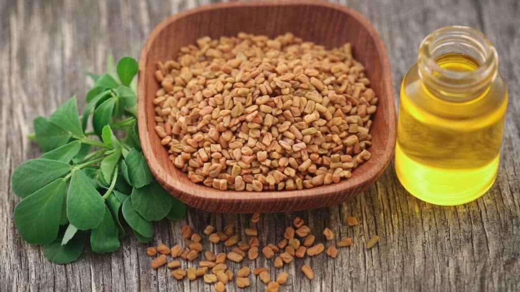 Sementes de feno-grego - Créditos: depositphotos.com / bdspn74