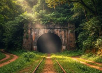 Esquecido por quase 50 anos, maior túnel ferroviário de SC chama atenção no meio da mata com 260 metros de extensão e pode 'ganhar vida' com revitalização