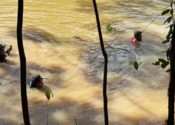 Criança que recebeu alta de hospital passa a ajudar nas buscas por irmãos desaparecidos no MA