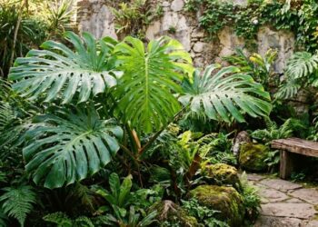 Essa planta tropical está conquistando os jardins urbanos