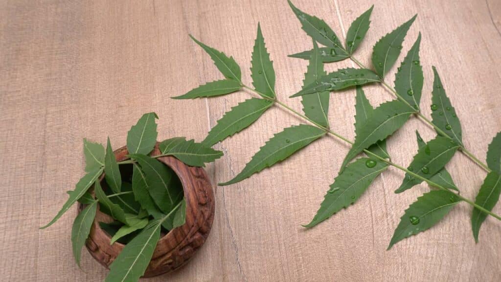 Créditos: depositphotos.com / rakshashelare