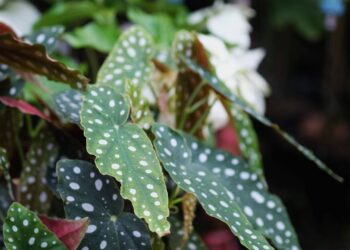 Créditos: depositphotos.com / wisely