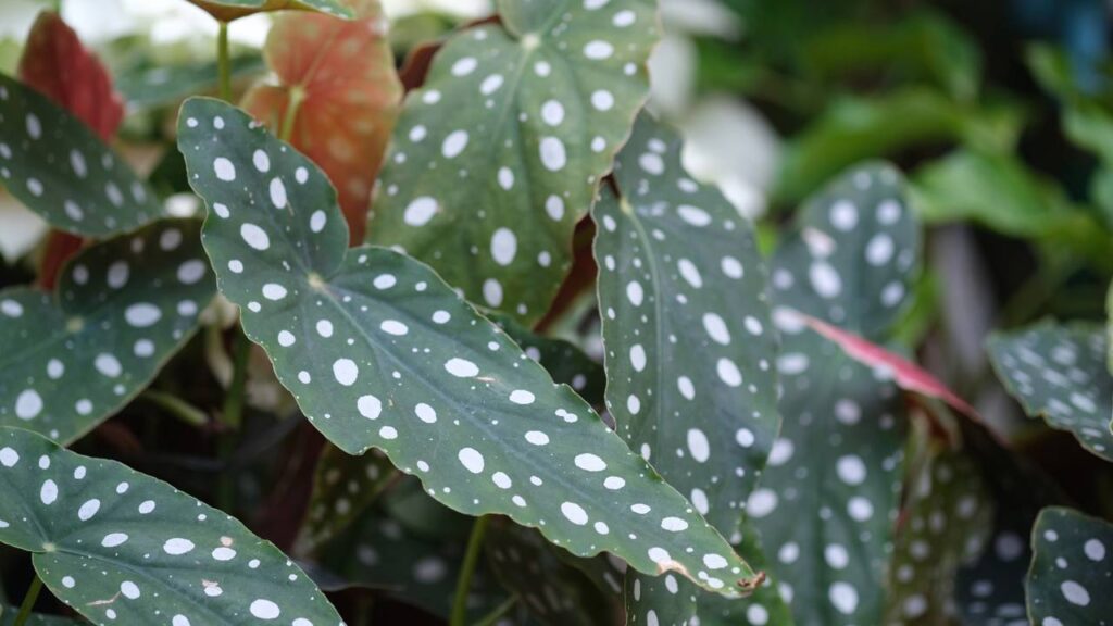 Créditos: depositphotos.com / wisely