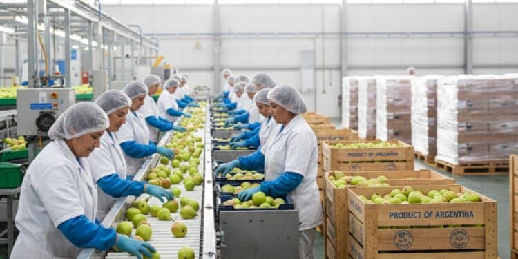 Nem Chile nem Brasil: o país latino-americano que alcançou um recorde histórico de exportações e ascendeu ao top 4 mundial