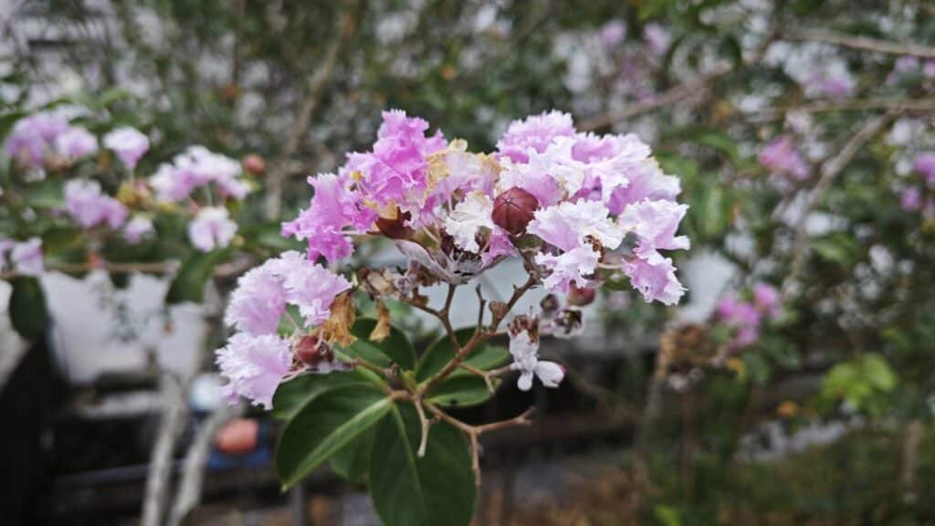 Créditos: depositphotos.com / sweemingyoung