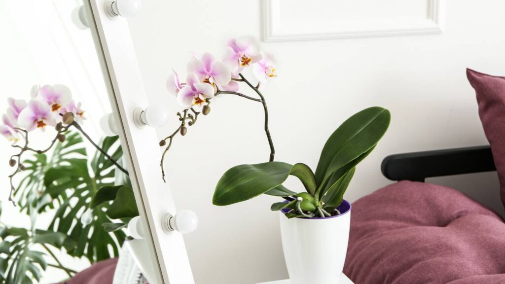 Créditos: depositphotos.com / serezniy