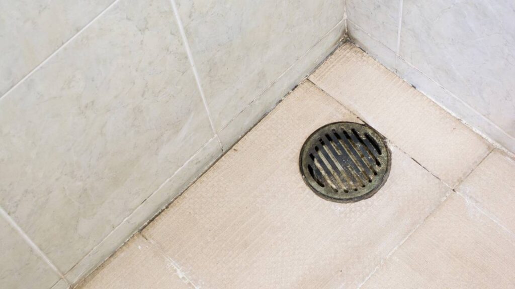 Ralo do banheiro sujo -