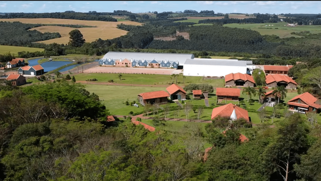A "Holanda Brasileira" fica no Paraná e encanta visitantes com plantações de flores e arquitetura europeia