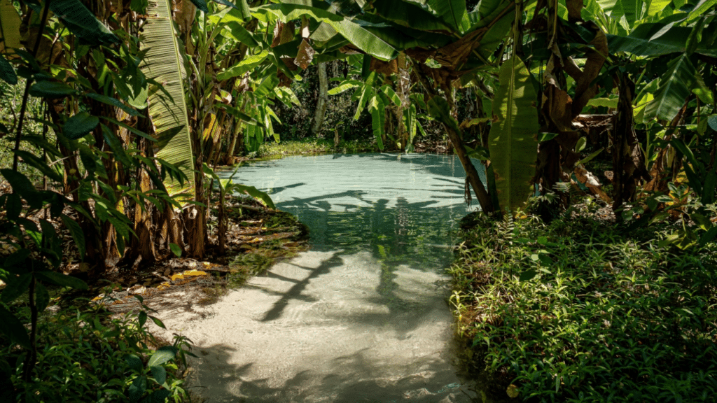 O paraíso brasileiro onde a areia dourada e águas cristalinas se encontram em um mesmo cenário