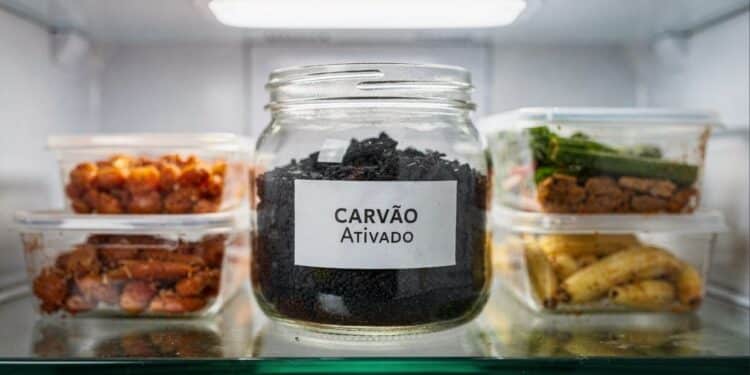 Geladeira lotada espalha mau cheiro e o segredo para proteger os alimentos é usar carvão ativado na prateleira central
