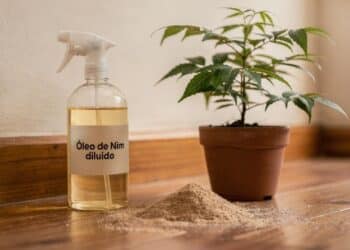 Saiba quais plantas ajudam a afastar cupins e ainda protegem os móveis de casa sem o uso de venenos