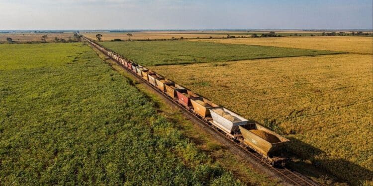 Nova fase da Ferrovia Norte-Sul promete reduzir custos logísticos e ampliar rotas entre Cerrado, Sudeste e o litoral brasileiro