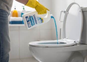 Adeus produtos caros: esse truque com detergente limpa, ajuda a desentupir o vaso e ainda elimina aquele cheiro desagradável