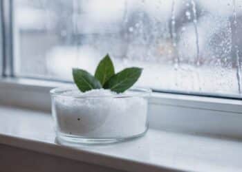 Adeus pano molhado: esse truque com sal e louro seca a janela, reduz o mofo e ainda deixa o ambiente cheiroso