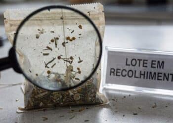 Lote de chá contaminado é retirado as pressas das prateleiras dos supermercados pela Anvisa