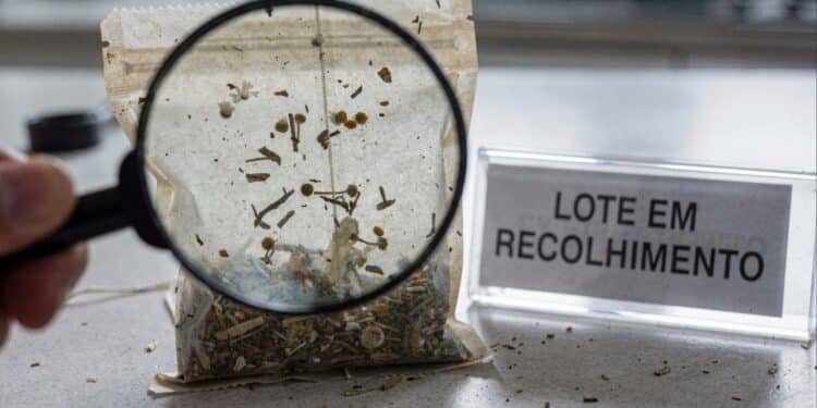 Lote de chá contaminado é retirado as pressas das prateleiras dos supermercados pela Anvisa